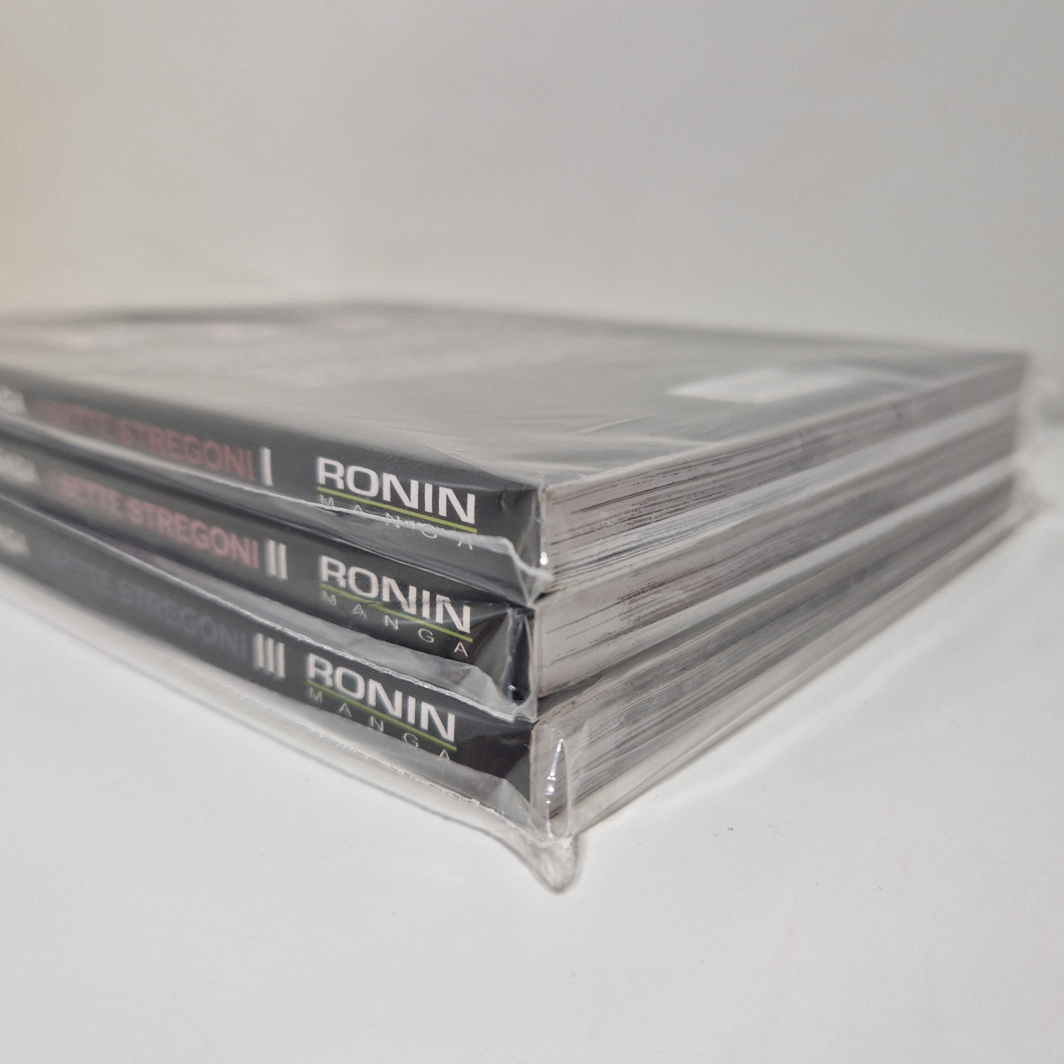 Guin Saga - I Sette Stregoni (vol 1-3) COMPLETO - immagine 3