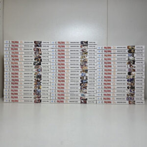 Fairy Tail (New Edition) di Hiro Mashima - (vol 1-52) - immagine 3