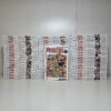 Fairy Tail (New Edition) di Hiro Mashima - (vol 1-52)