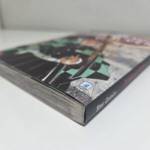 Demon Slayer di Koyoharu Gotouge- Variant Cover vol 1 - immagine 6